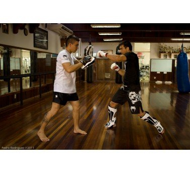 Venum Predator Standup Shinguards - Black/Ice photo